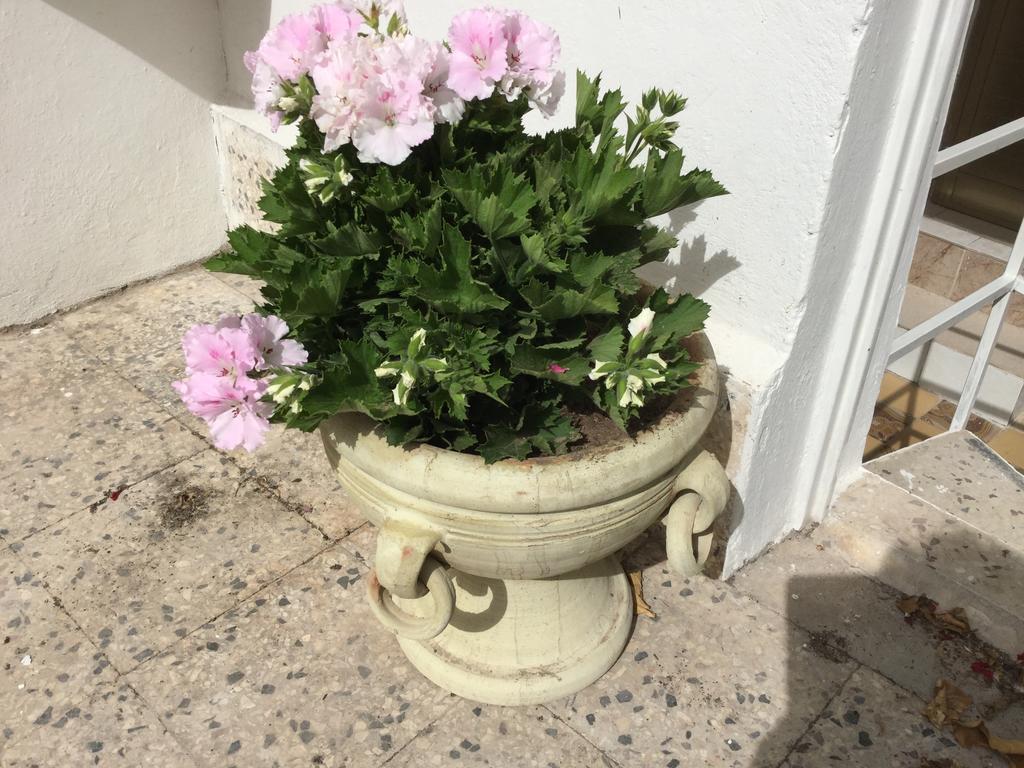 Case Vacanze Le Rose Villa Noto Ngoại thất bức ảnh